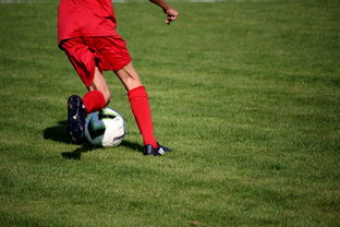 开云平台-中国足球职业俱乐部推动管理层岗位轮训制度，职业足球俱乐部训练计划